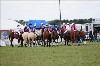 UKPA NC SAT_2847
